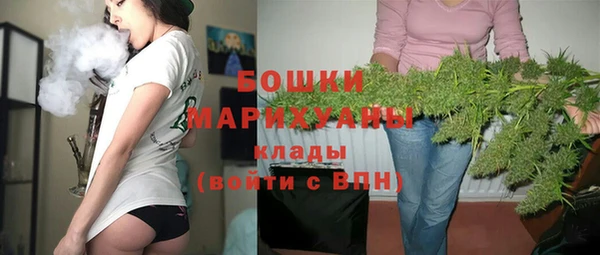 дживик Каменка