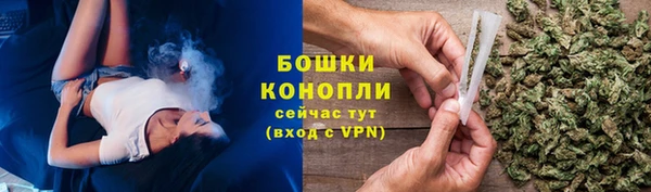 сатива Каменск-Шахтинский