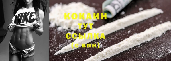 сатива Каменск-Шахтинский