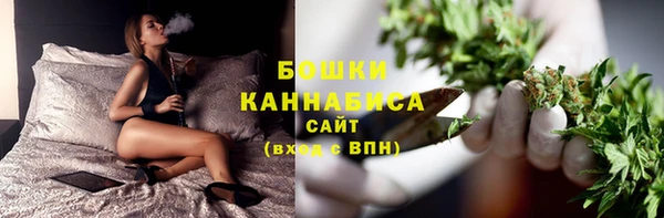 ГАЛЛЮЦИНОГЕННЫЕ ГРИБЫ Касимов