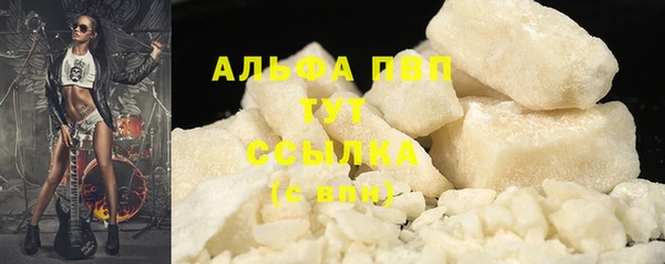 дживик Каменка