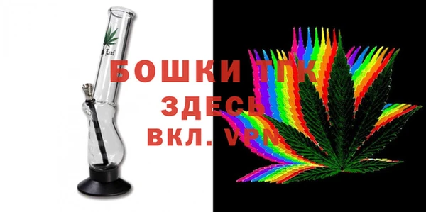 сатива Каменск-Шахтинский