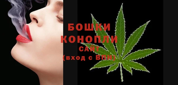 сатива Каменск-Шахтинский