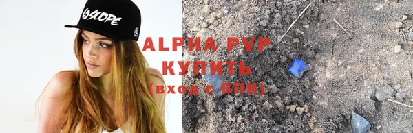 дживик Каменка