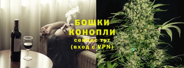 сатива Каменск-Шахтинский