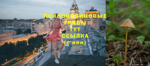 ГАЛЛЮЦИНОГЕННЫЕ ГРИБЫ Касимов