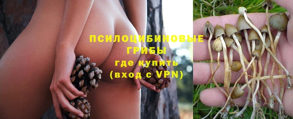 каннабис Каменногорск