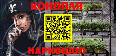 соль ск Кингисепп