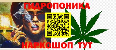 apvp Кинель