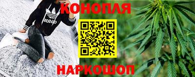 соль ск Кингисепп
