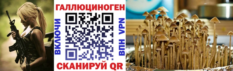 хочу наркоту  Кудрово  Псилоцибиновые грибы Psilocybe 